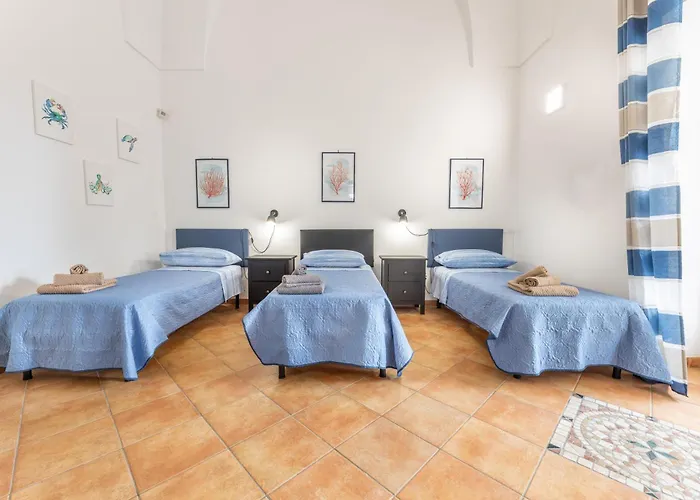 Degli Archi